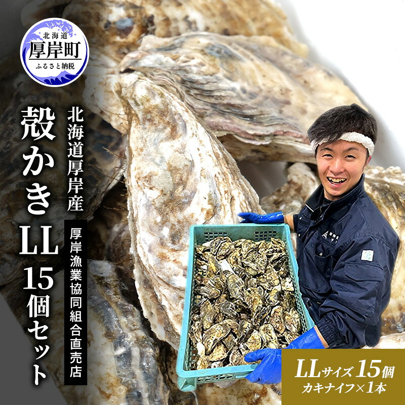 【ふるさと納税】牡蠣 殻付き 生食 LL15個 北海道 厚岸産 マルえもん【厚岸漁業協同組合】カキナイフ付 [ カキ かき 生牡蠣 殻かき オイスター 冷蔵 ］