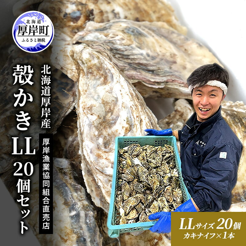 【ふるさと納税】牡蠣 殻付き 生食 LL20個 北海道 厚岸産 マルえもん【厚岸漁業協同組合】カキナイフ付 [ カキ かき 生牡蠣 殻かき オイスター 冷蔵 ］