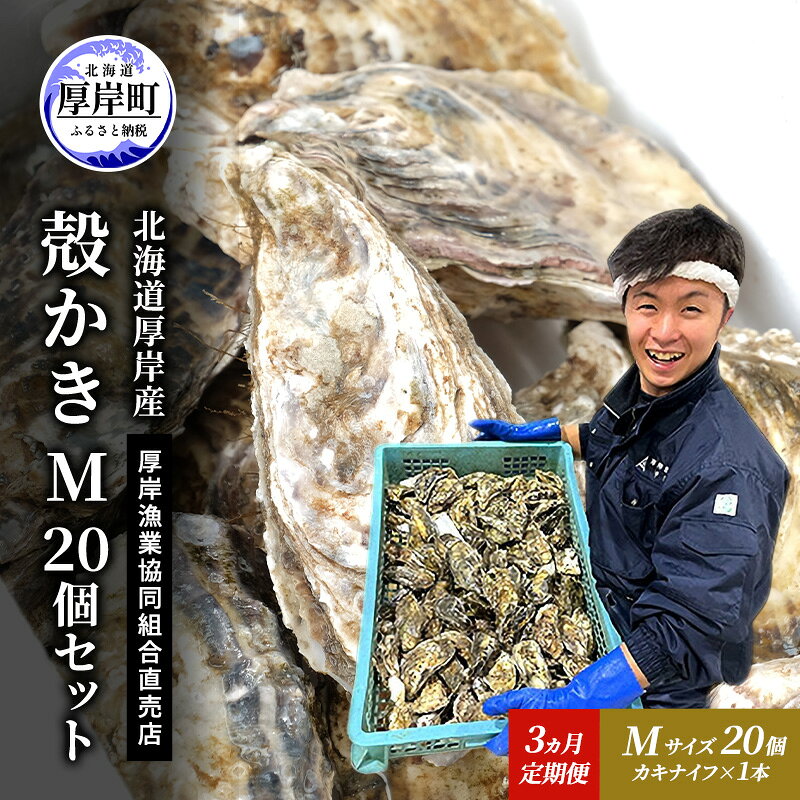 【ふるさと納税】定期便 3ヵ月 牡蠣 殻付き 生食 M20個 北海道 厚岸産 マルえもん【厚岸漁業協同組合】カキナイフ付 [ カキ かき 生牡蠣 殻かき オイスター 冷蔵 ］