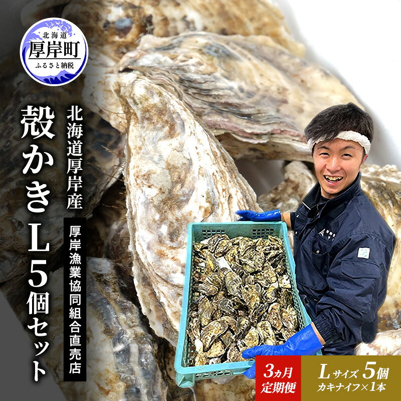 【ふるさと納税】定期便 3ヵ月 牡蠣 殻付き 生食 L5個 北海道 厚岸産 マルえもん【厚岸漁業協同組合】カキナイフ付 [ カキ かき 生牡蠣 殻かき オイスター 冷蔵 ］