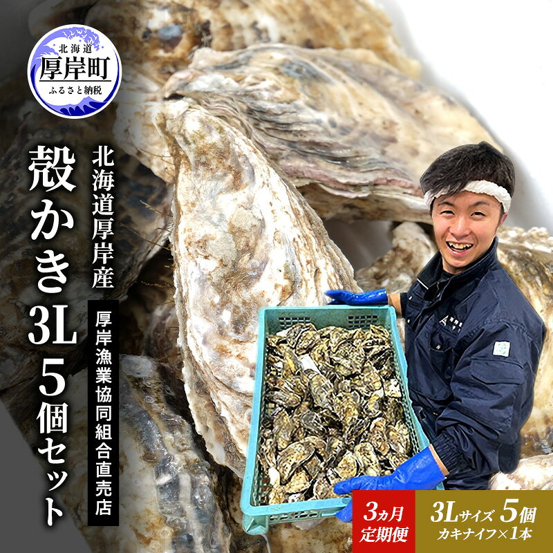 【ふるさと納税】定期便 3ヵ月 牡蠣 殻付き 生食 3L5個 北海道 厚岸産 マルえもん【厚岸漁業協同組合】カキナイフ付 [ カキ かき 生牡蠣 殻かき オイスター 冷蔵 ］