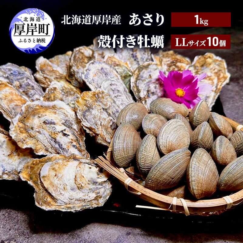 【ふるさと納税】北海道 厚岸産 あさり1kg 殻付き 牡蠣 