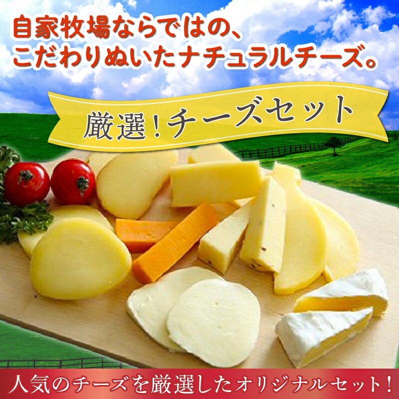【ふるさと納税】チーズセット
