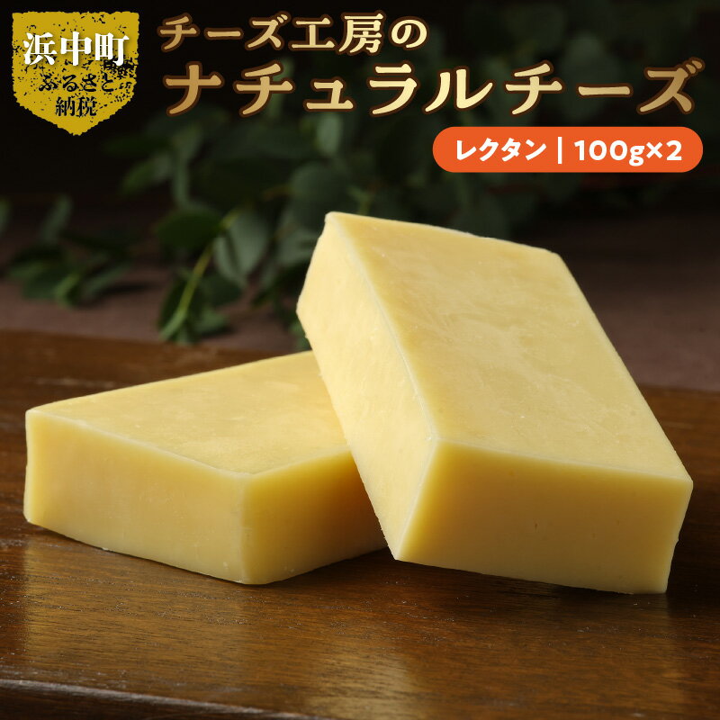 【ふるさと納税】チーズ レクタン 100g × 2 国産 ナチュラルチーズ セミハードタイプ おつまみ パン ...