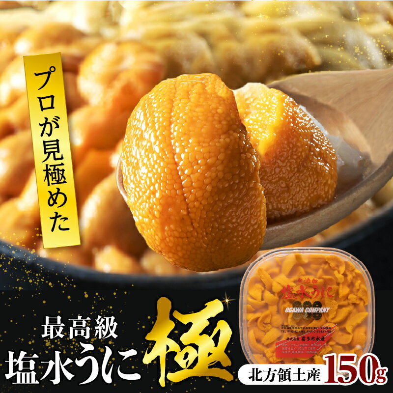 【ふるさと納税】プロ厳選 最高級 塩水 うに 極 150g バフンウニ ミョウバン不使用 無添加 安心 安全 食品 うに丼 海鮮 海産物 魚介 お取り寄せ グルメ 天然 人気 おすすめ プレゼント おつまみ お酒 寿司 パスタ 軍艦 トッピング ギフト 贅沢 北海道 浜中町 送料無料