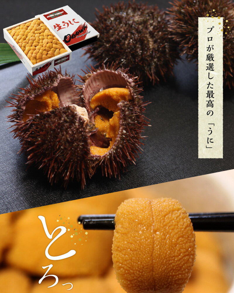 【ふるさと納税】「うに」と「いくら」のセット