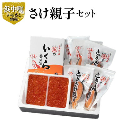 いくら醤油漬け 鮭卵 ＆ ときさけ 輪切り の 親子 セット 約1kg グルメ 食品 海鮮 魚介類 海の幸 海産物 加工品 ご飯のお供 おかず 惣菜 魚卵 いくら 魚 鮭 国産 冷凍 浜中漁業協同組合 北海道 浜中町 お取り寄せ 送料無料