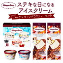 【ふるさと納税】ハーゲンダッツ バラエティ セット ラバーズ アソート バニラ ストロベリー クッキー&クリーム リッチミルク バニラチョコレートマカデミア アイス アイスクリーム バー お取り寄せ デザート スイーツ 北海道 浜中町 送料無料