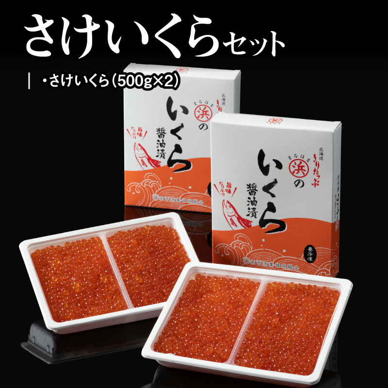 【ふるさと納税】さけいくらセット