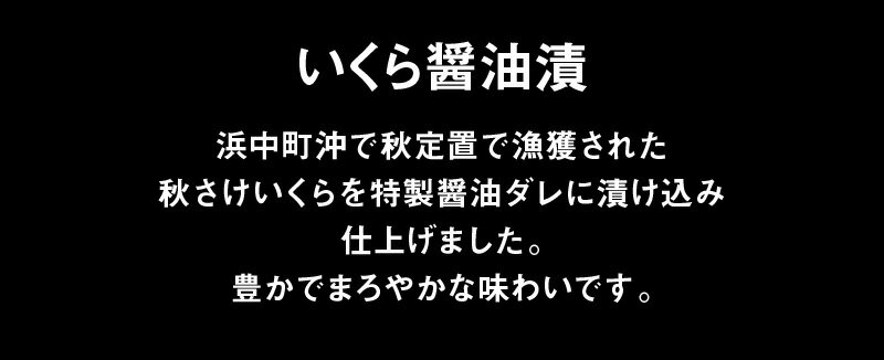 【ふるさと納税】さけいくらセット