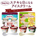 【ふるさと納税】【金と銀のスプーン同梱】ハーゲンダッツ アイスクリーム アソート ミニカップ バラエティ セット ふるさと納税限定 ラバーズアソート スイートテラス バニラ クッキー&クリーム ストロベリー エスプレッソ メープルクッキー 北海道 浜中町 送料無料