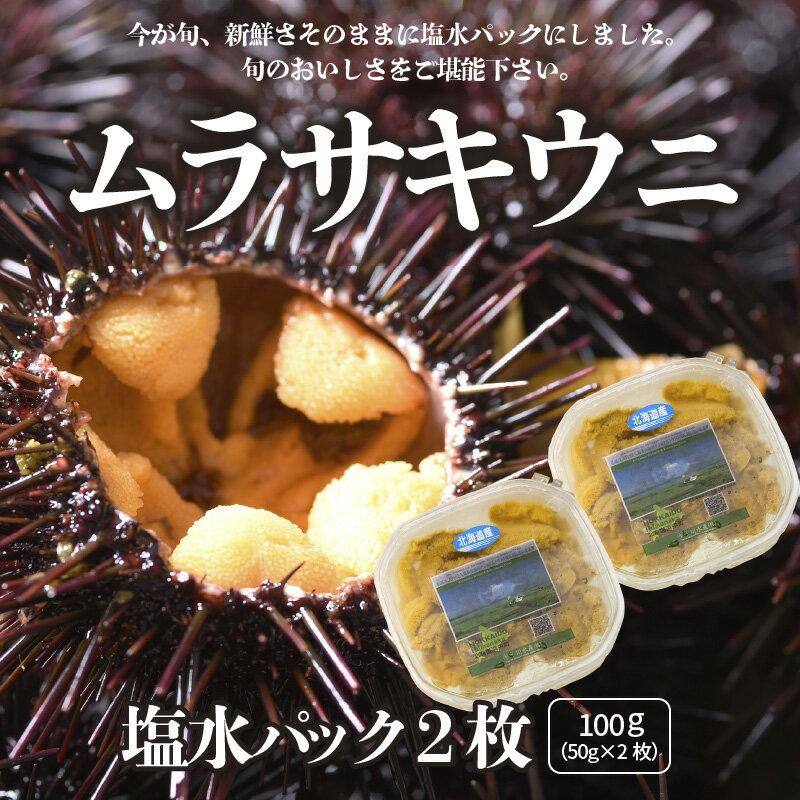 【ふるさと納税】【今が旬】ムラサキウニ　塩水パック　2枚セット