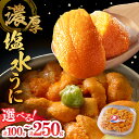 【ふるさと納税】パック数が選べる≪氷温熟成≫ 塩水うに (天然バフンウニ) 生うに 塩水 うに こだわり 食品 北海道 浜中町 お取り寄せ お取り寄せグルメ う...