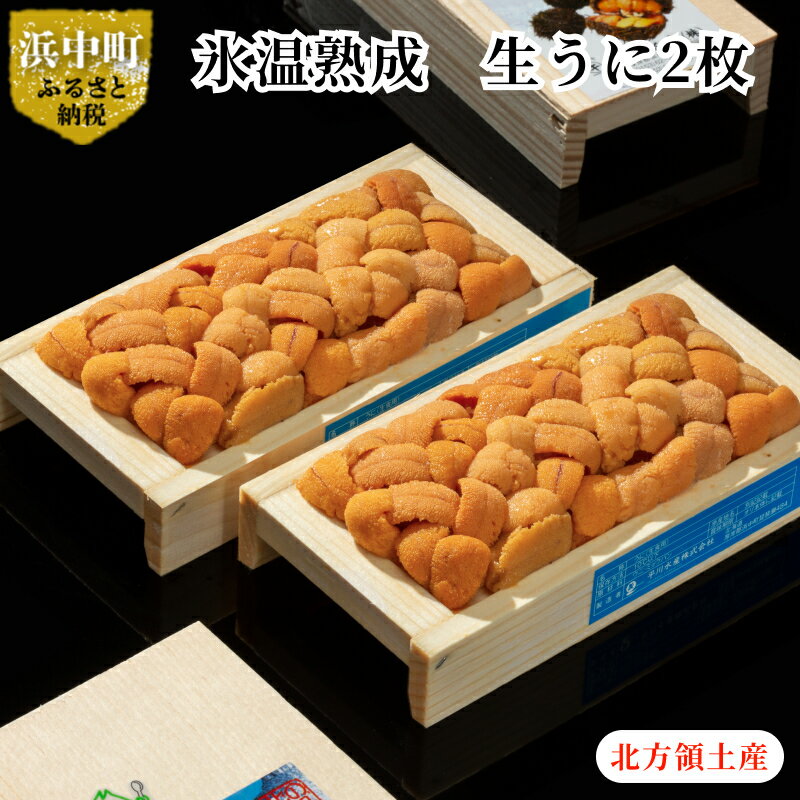 【ふるさと納税】ウニ 海鮮 新鮮 氷温熟成 100g × 2枚 計200g 生うに 天然生うに 殻出し 食品 北海道 浜中 お取り寄せ お取り寄せグルメ うに丼 海鮮丼 お寿司 手巻き寿司 ご褒美 食べ物 冷蔵 送料無料