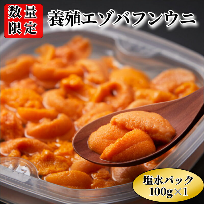 28位! 口コミ数「0件」評価「0」 浜中産 養殖 エゾバフンウニ 塩水パック 100g 数量限定 生うに 新鮮 海鮮 魚介類 海の幸 海産物 うに丼 パスタ 寿司 軍艦巻き ･･･ 