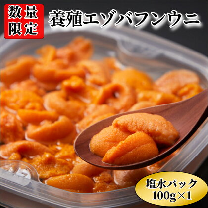 浜中産 養殖 エゾバフンウニ 塩水パック 100g 数量限定 生うに 新鮮 海鮮 魚介類 海の幸 海産物 うに丼 パスタ 寿司 軍艦巻き 手巻き おかず おつまみ お取り寄せ グルメ ご褒美 贅沢 食品 冷蔵 北海道 浜中町 送料無料