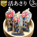 【ふるさと納税】 浜中産　活アサリ500g×3袋セット