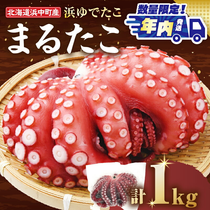 [年内発送]≪期間・数量限定・発送時期が選べる≫浜ゆでたこ「まる たこ」1kg以上×1袋 北海道 浜中町産 新物 たこ タコ 一匹 一杯 1匹 下足 刺身 唐揚げ おかず おつまみ 真空パック 国産 海鮮 海の幸 海産物 新鮮 人気 おすすめ 贈り物 ギフト 送料無料