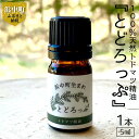 4位! 口コミ数「1件」評価「5」精油 エッセンシャルオイル 浜中町生まれ 100％天然 トドマツ 5ml 1本 とどろっぷ 国産 樹木系 アロマ アロマオイル お風呂 スプ･･･ 