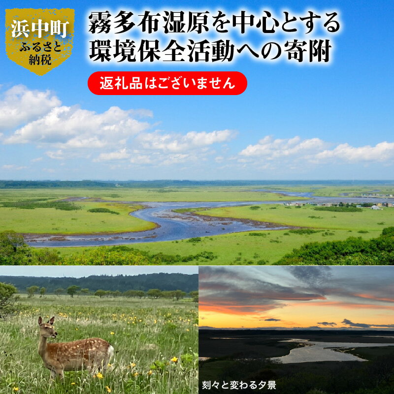 霧多布湿原を中心とする環境保全活動への寄附 1,000円 寄附 支援 寄付のみ 返礼品無し 寄付金 霧多布湿原 国定公園 花の湿原 景観保全 動植物の保全 湿原を再生 環境 保全 活動 調査研究事業 地元 町内 NPO法人 ナショナルトラスト 北海道 浜中町