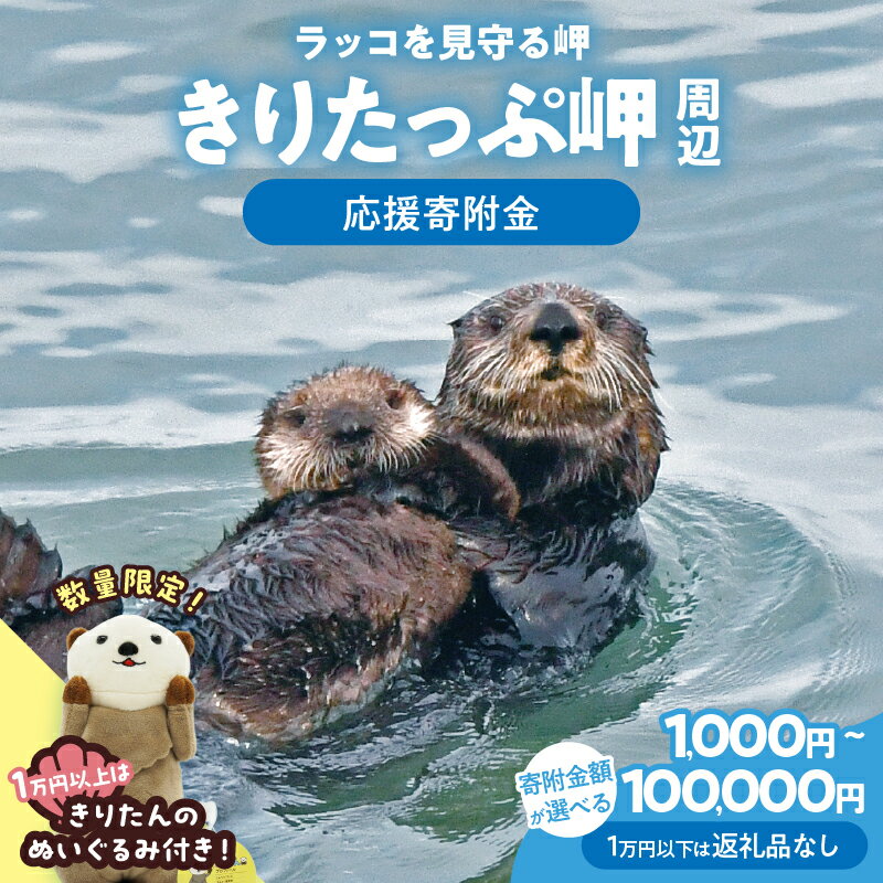 【ふるさと納税】【寄附額が選べる】ラッコを見守る岬「きりたっぷ岬」周辺の環境整備 返礼品なし 1,000円～100,000円 霧多布岬 らっこ 保護 環境保全 安心安全 野生動物 共生 まちづくり 支援 自然 観光 観光地づくり 遊歩道 展望台 北海道 浜中町