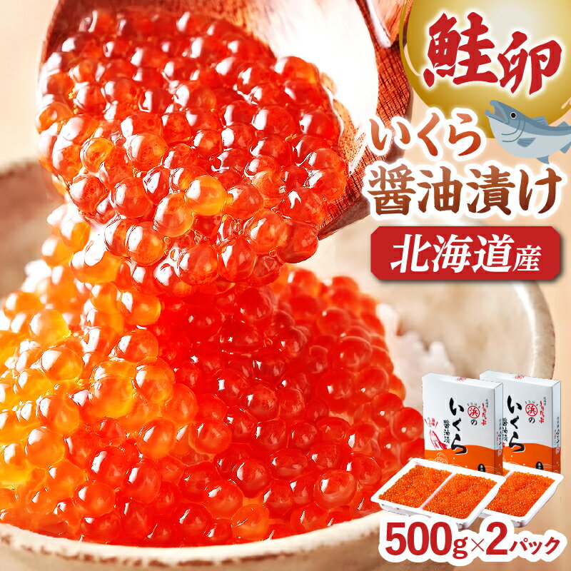 【ふるさと納税】北海道産 さけいくら 醤油漬 500g × 2 セット 小分け 鮭 グルメ 食品 海鮮 魚介類 海の幸 海産物 加工品 ご飯のお供 おかず いくら丼 寿司 軍艦 惣菜 トッピング 魚卵 天然 おすすめ プレゼント 国産 冷凍 北海道 浜中町 お取り寄せ 送料無料