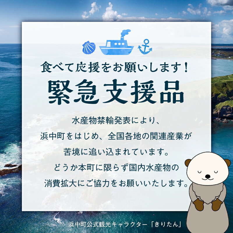 【ふるさと納税】容量が選べる 緊急支援品 北海道産 ほたて 貝柱 中 ～ 大 約500g ～ 1kg 貝 海鮮 魚貝 魚介 海産物 新鮮 肉厚 刺身 海鮮丼 バーベキュー カルパッチョ サラダ バター焼き フライ おかず 晩ご飯 お取り寄せ グルメ 食品 冷凍 北海道 浜中町 送料無料