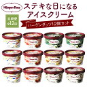 【ふるさと納税】ハーゲンダッツ 定期便 全12回 アイス デザート スイーツ アイスクリーム カップ