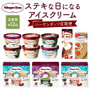 全12回 連続 1年 定期便 ハーゲンダッツ 人気 セット アイス スイーツ デザート バニラ ストロベリー チョコレート ご褒美 詰め合わせ 贅沢 乳製品 おやつ 毎月お届け おすすめ お取り寄せ グルメ 冷凍 北海道 浜中町 送料無料