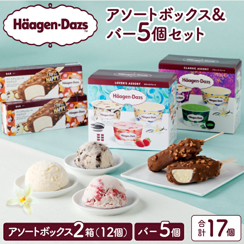 【ふるさと納税】ハーゲンダッツ アイス & バー セット バニラチョコレートマカデミア バニラ ストロベリー クッキー&クリーム ショコラ ラム グリーンティー アイスクリーム お取り寄せ スイーツ 北海道 浜中町 送料無料のサムネイル