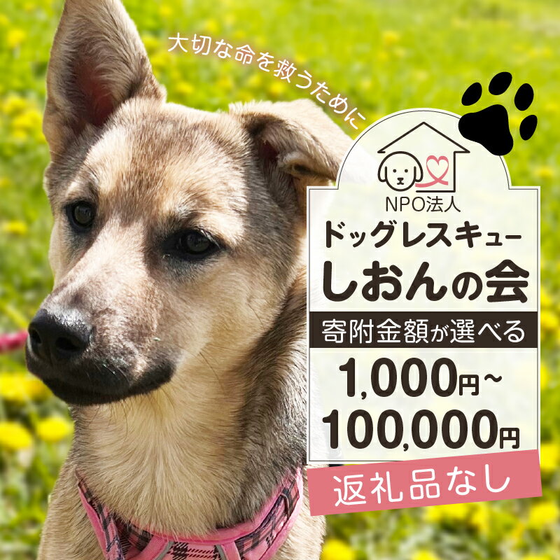 【ふるさと納税】【寄附額が選べる】【野犬の保護活動】浜中町 ドッグレスキュー しおんの会 返礼品なし 1,000円 ～ 100,000円 NPO法人 支援 動物 保護 犬 ドッグ 環境づくり 動物愛護 ペット 手助け 野犬 野良犬 ボランティア 命を守る 里親 殺処分ゼロ 譲渡 北海道