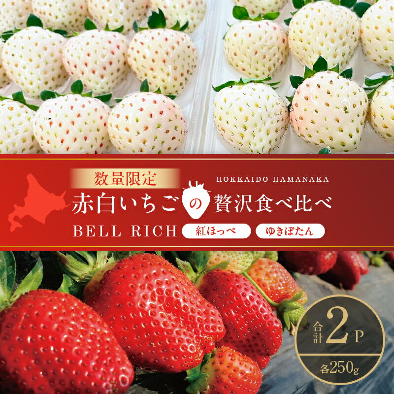 [数量限定] 赤白いちご 贅沢 食べ比べ セット 合計2パック BELL RICH ゆきぼたん 紅ほっぺ 高糖度 スイーツ フルーツ ギフト 幻のいちご 贈答用 プレゼント 人気 期間限定 希少 甘い 果物 お取り寄せ デザート グルメ 北海道 浜中町 送料無料