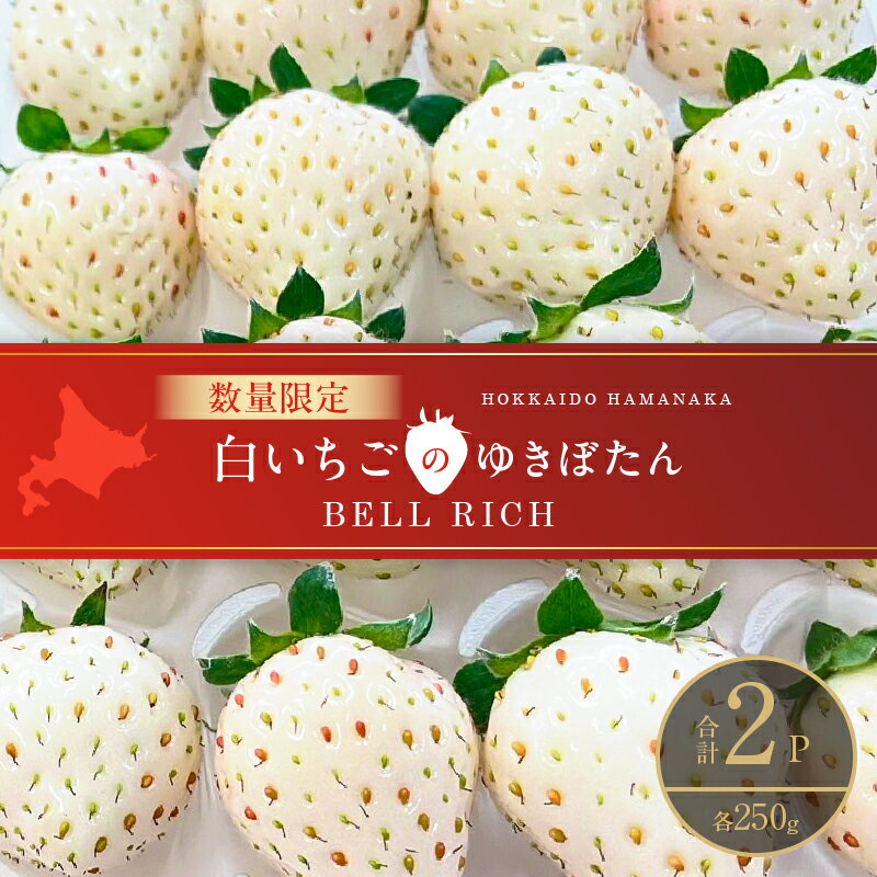 [数量限定] 白いちご "ゆきぼたん" 計2パック BELL RICH 幻のいちご 桃のような味わい 高糖度 スイーツ フルーツ ギフト 贈答用 プレゼント 期間限定 希少 甘い 果物 お取り寄せ デザート グルメ 人気 おすすめ 北海道 浜中町 送料無料