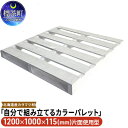 【ふるさと納税】「自分で組み立てるカラーパレット」1200×1000×115(mm)片面使用型 【工芸品】