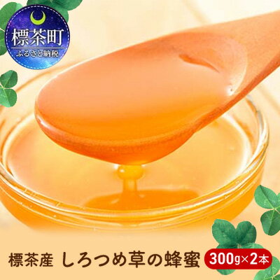 【ふるさと納税】標茶産しろつめ草の蜂蜜 300g×2本　【加工食品・ハチミツ】