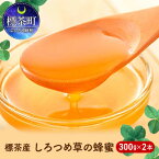 【ふるさと納税】標茶産しろつめ草の蜂蜜 300g×2本　【加工食品・ハチミツ】