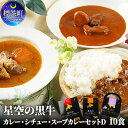 【ふるさと納税】「星空の黒牛」カレー・シチュー・スープカレーセットD　10食　【惣菜 牛肉 お肉】