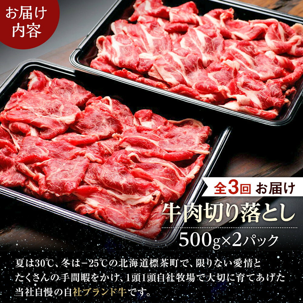 【ふるさと納税】【3か月 定期便】北海道産 星空の黒牛 切り落とし 約1kg（500g×2） 【 肉 にく ニク 牛肉 牛肉赤身 赤身 牛肉セット バーベキュー 冷凍牛肉 贅沢牛肉 国産牛肉 北海道産牛肉 道産牛肉 簡単 お手軽 特製牛肉 標茶町 北海道 】 | 定期便・ 牛肉 炒め物 f016641-shibecha-10000354 北海道標茶町 サンプル画像2