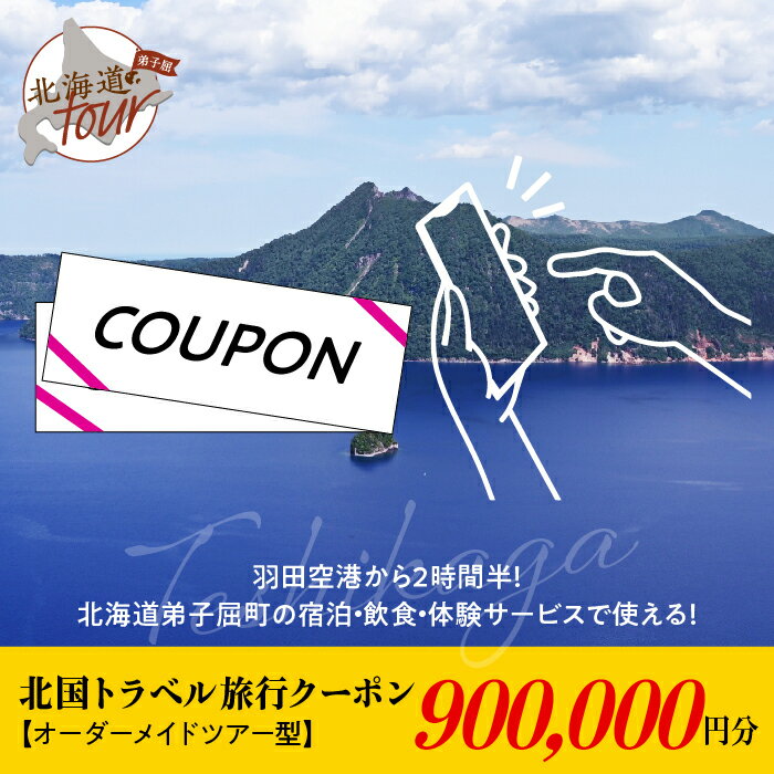 【ふるさと納税】【北海道ツアー】968. 旅行クーポン券 弟子屈町 オーダーメイドツアー型（900,000円分）トラベルクーポン 旅行券 宿泊券 飲食券 体験サービス券 事前予約 ひがし北海道 川湯温泉 屈斜路湖 北海道 旅行 北海道 旅行チケット 3000000円