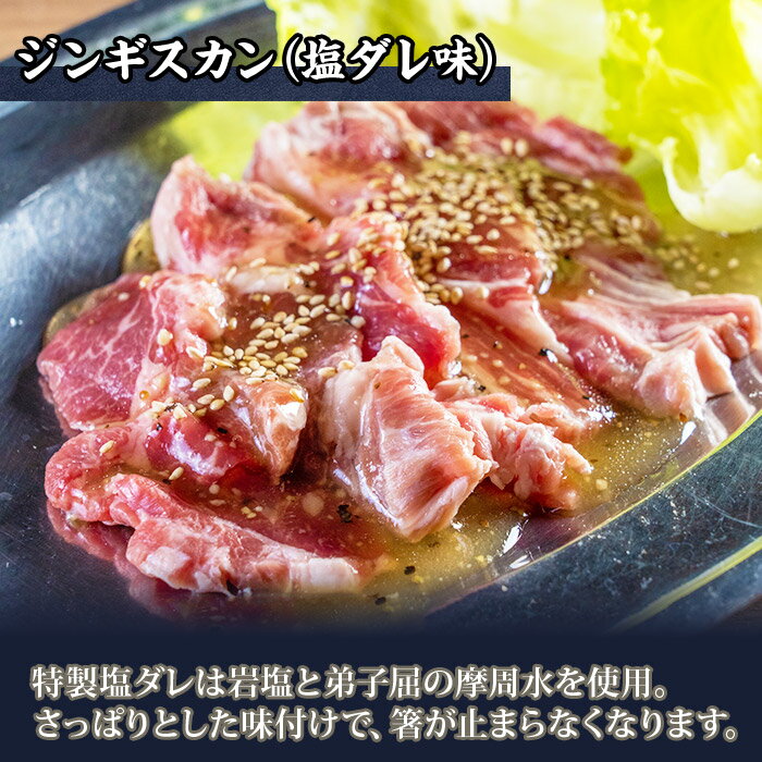 【ふるさと納税】1975. ジンギスカン 塩ダレ 300g 2パック 羊肉 焼肉 味付け肉 BBQ バーベキュー お取り寄せ 冷凍 郷土料理 プレゼント 贈り物 gift 送料無料 15000円 北海道 弟子屈町