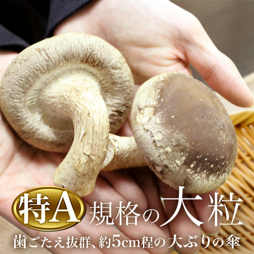 【ギフト】日本の美味詰合せ 【北海道・沖縄・離島配送不可】