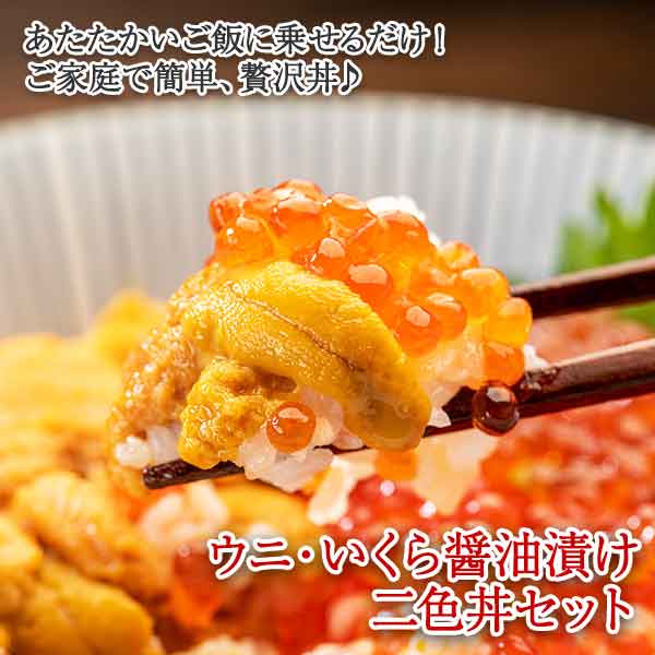 【ふるさと納税】 1725.ウニ チリ産 冷凍 いくら 二色丼 うに 雲丹 イクラ 海鮮 海鮮丼 うに丼 いくら丼 いくら醤油漬け いくら200g（アメリカ産）＆うに（チリ産）100g×2個セット 送料無料 22000円 北海道 弟子屈町