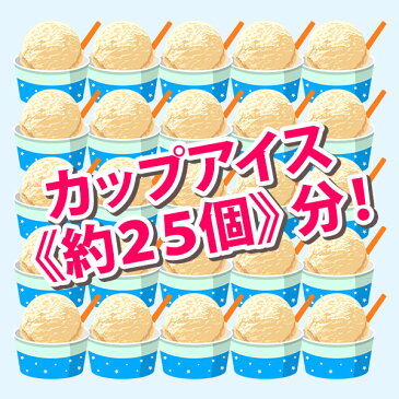 【ふるさと納税】611.北海道 アイスクリーム かぼちゃ ジェラート 2L 業務用 2リットル カボチャ アイス 南瓜 ミルク 大容量 いっぱい 牛乳 スイーツ 手作り Gift 贈り物 贈答品 ギフト プレゼント お取り寄せ 北海道 弟子屈 北国からの贈り物 15000円