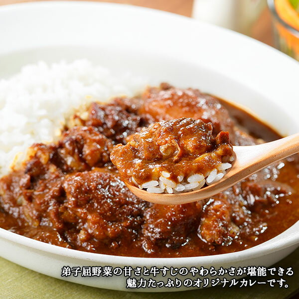 【ふるさと納税】778.牛すじカレー 5個 中辛 じゃがいも 牛 牛肉 肉 業務用 レトルトカレー 保存食 備蓄 まとめ買い 10000円 北海道 弟子屈町