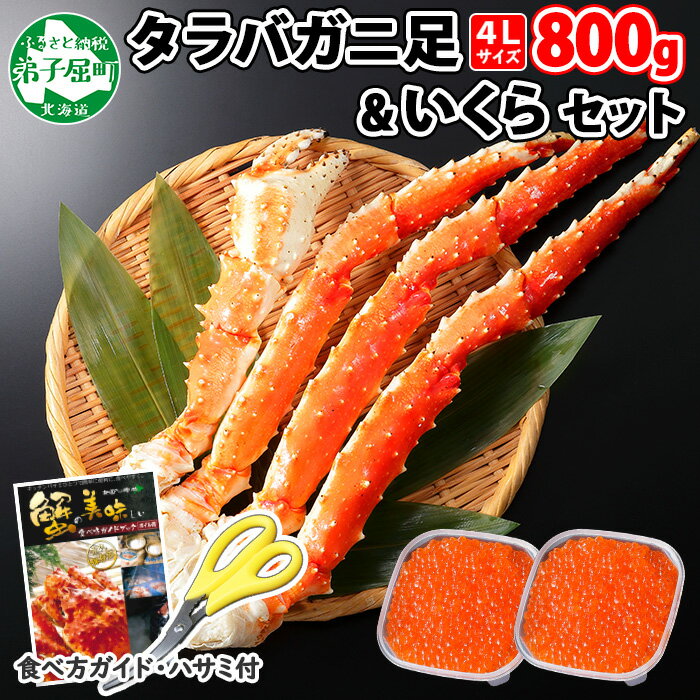 【ふるさと納税】 2100. カニ 蟹 タラバガニ足 800g 4L いくら醤油漬け 80g×2 セット かに肉 カニ タラバ蟹 たらば蟹 タラバガニ 蟹足 カニ足 かに足 脚 たらばがに いくら イクラ 食べ方ガイド・専用ハサミ付 海鮮 送料無料 35000円 北海道 弟子屈町