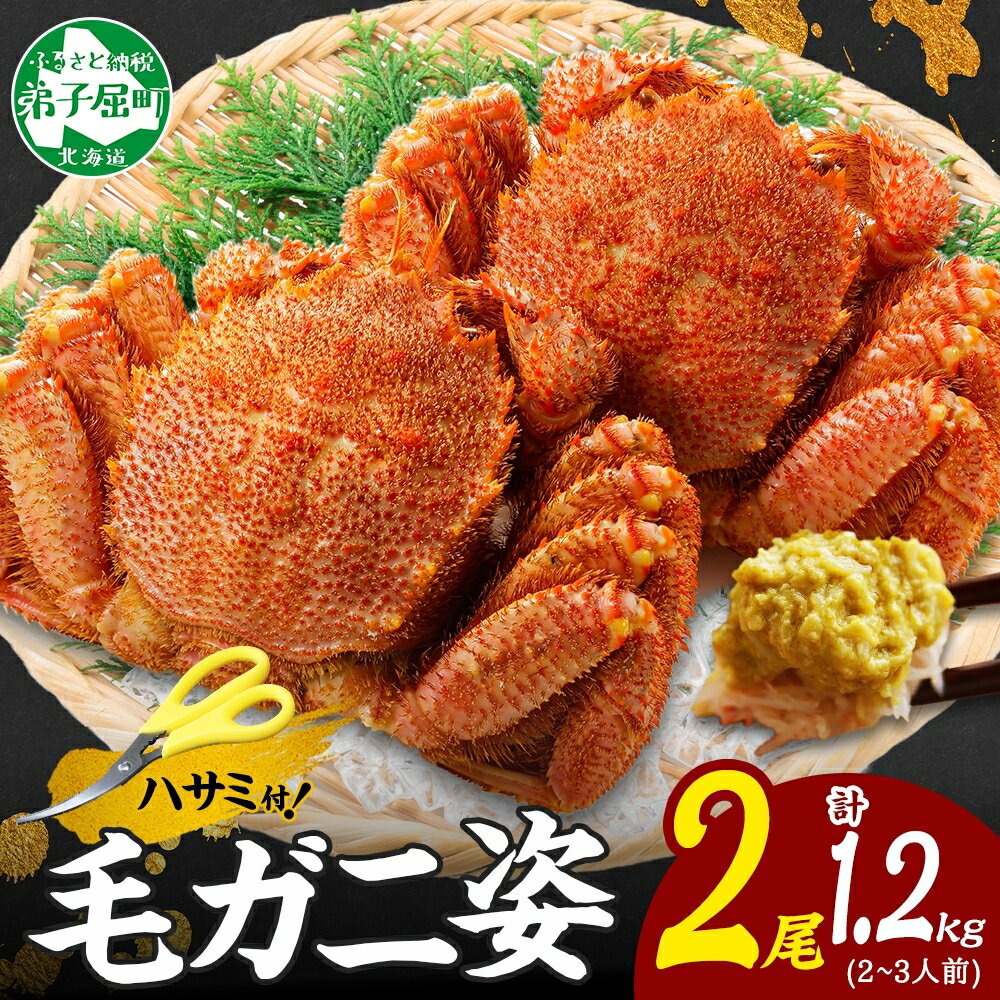 【ふるさと納税】3335. カニ 蟹 毛蟹 2尾 計1.2kg前後 食べ方ガイド・専用ハサミ付 カニ かに 蟹 海鮮 ボイル キャンプ飯 バーベキュー BBQ ...