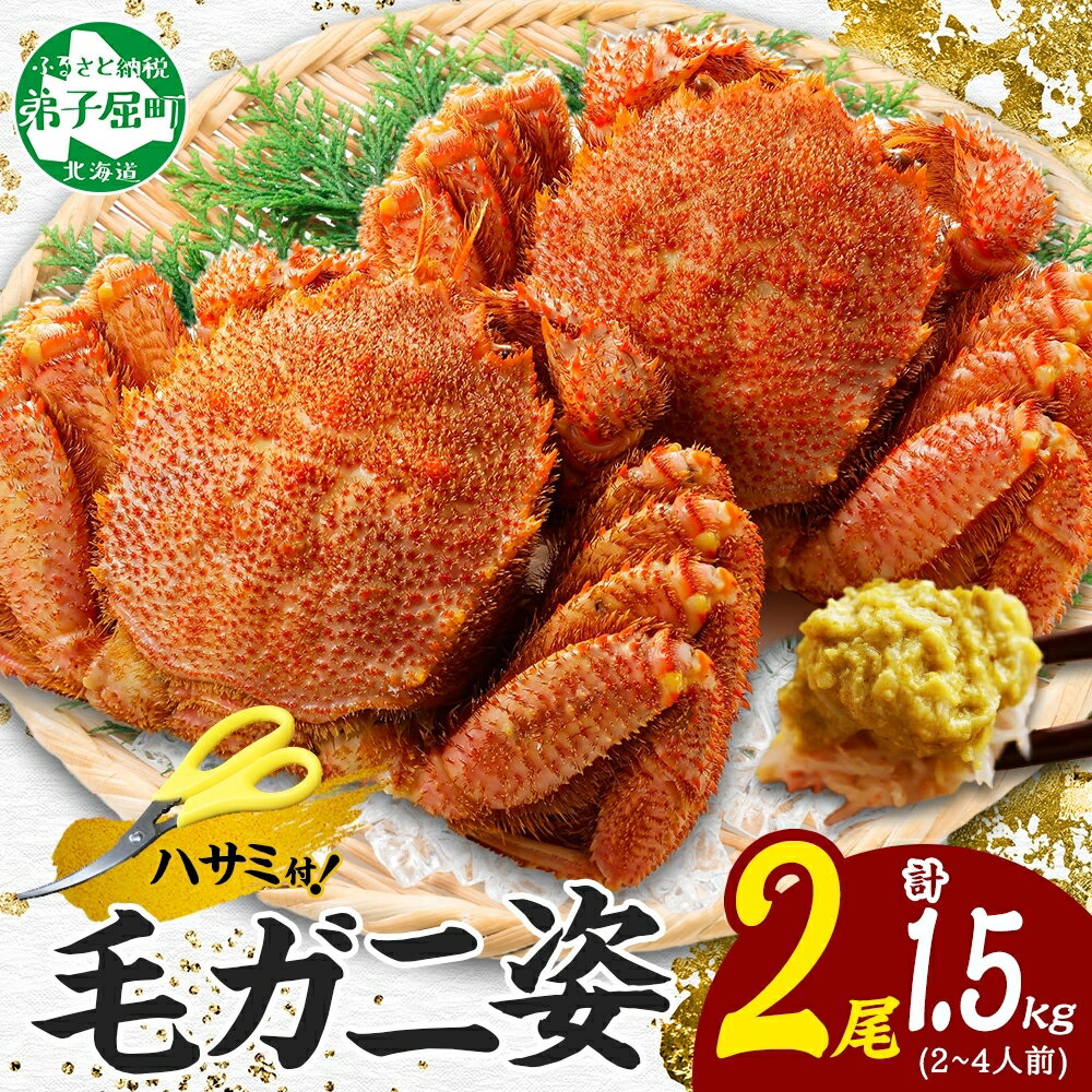 【ふるさと納税】3336. 蟹 毛蟹 2尾 計1.5kg前後 食べ方ガイド・専用ハサミ付 カニ かに 蟹 海鮮 ボイル キャンプ飯 バーベキュー BBQ 送料無...