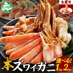 【年末配送可能】【ふるさと納税】 カニ 蟹 ズワイ蟹しゃぶ1kg 約3−4人前 2kg 約6−8人前 生食 生食可 生ズワイガニ カニしゃぶ かにしゃぶ ズワイ蟹 ずわい蟹肉 ずわいがに カット済み バーベキュー BBQ 送料無料 期間限定 北海道 弟子屈町 (クラウドファンディング対象)