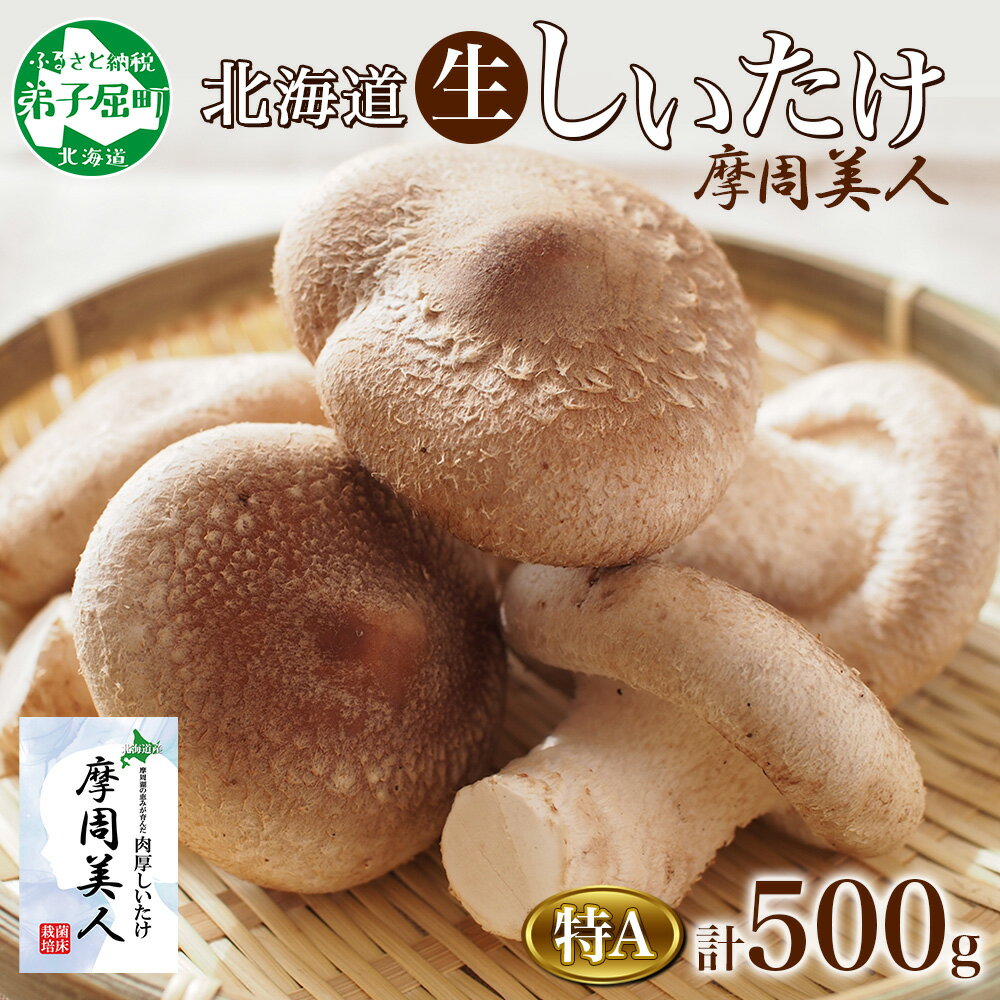 6位! 口コミ数「0件」評価「0」1803. しいたけ 特A 秀品 2パック 計500g 摩周美人 シイタケ 椎茸 生しいたけ 生シイタケ きのこ キノコ 菌床栽培 大粒 肉･･･ 