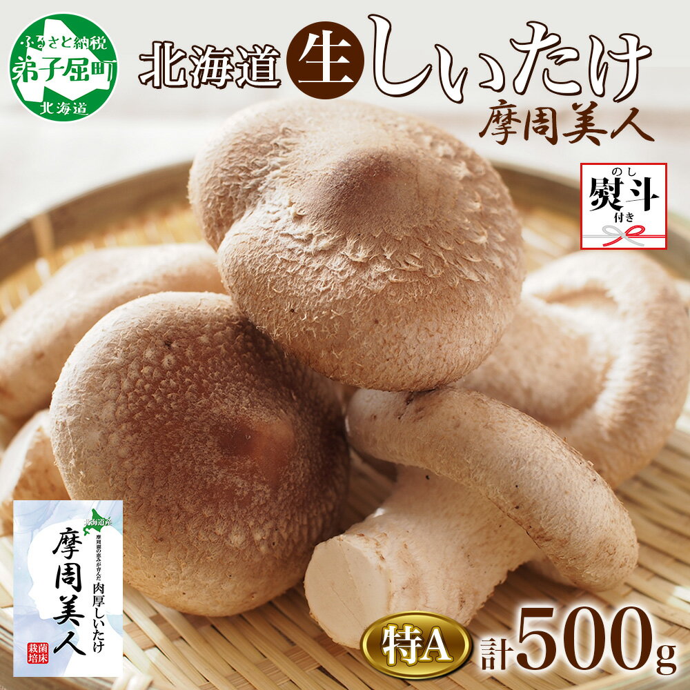 6位! 口コミ数「0件」評価「0」1805. 無地熨斗 しいたけ 特A 秀品 2パック 計500g 摩周美人 シイタケ 椎茸 生しいたけ 生シイタケ きのこ キノコ 菌床栽培･･･ 